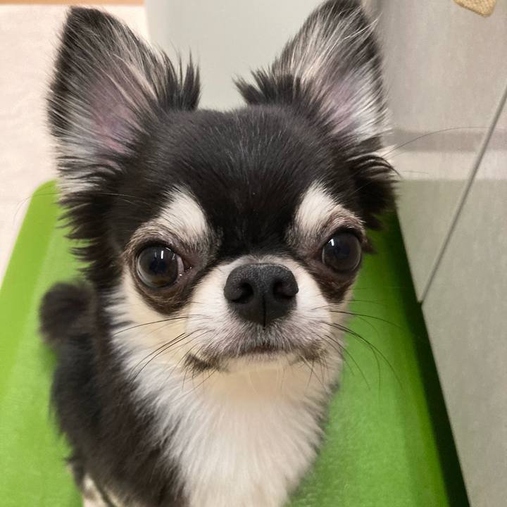 F64c6ce7 3666 4f0e 8707 9a4c9ab4dc11 1626615837983