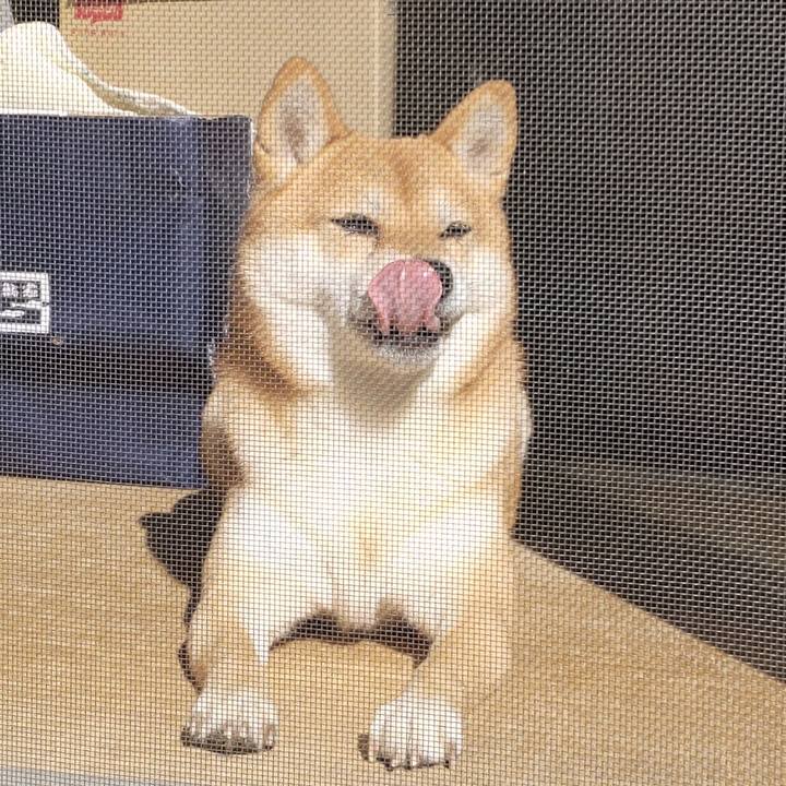 F64c6e57 47d0 4833 98d0 0a9053b90e78 1698629943607