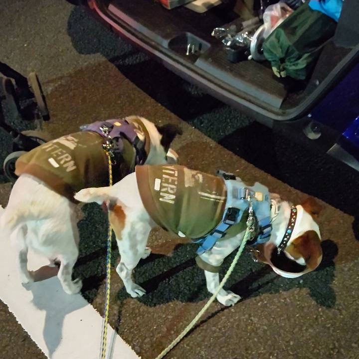 F64c9c57 6531 4669 94eb d304f0fedcf4 1678540228266