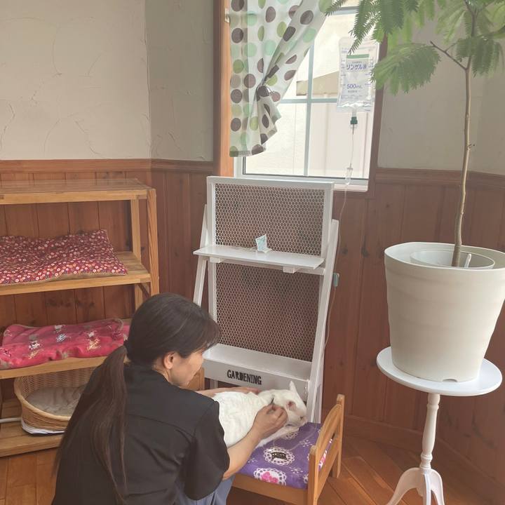 F64cace5 f292 42a2 8007 b3c5b3e01a1a 1654508523284