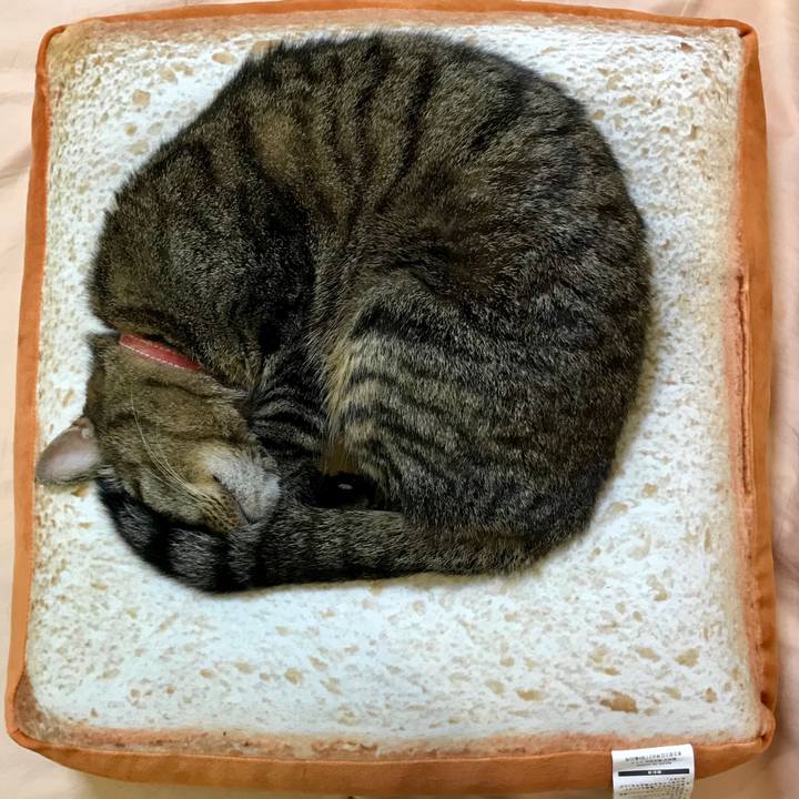 F64caf47 bceb 4cc1 bd3b 257aa78bf285 1521032768220