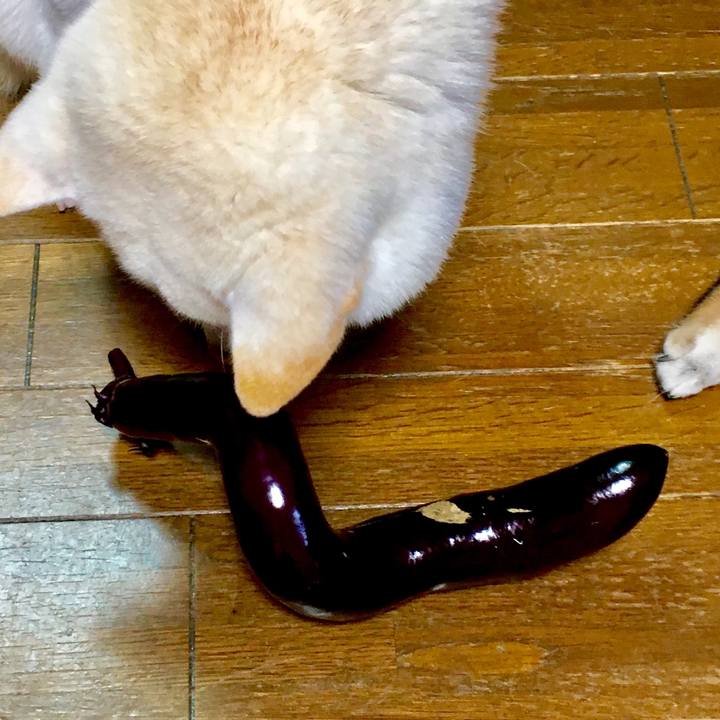 F64cbb3b 3e45 40e2 84a4 527526e7a1cf 1568854812947