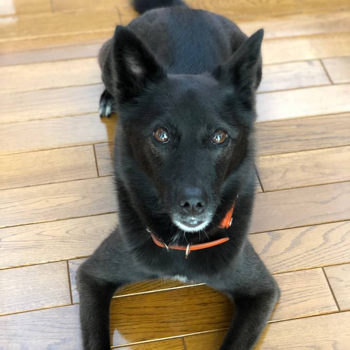 F64cca32 65e6 4827 9d3f 4d893ad7f421 1628263682045