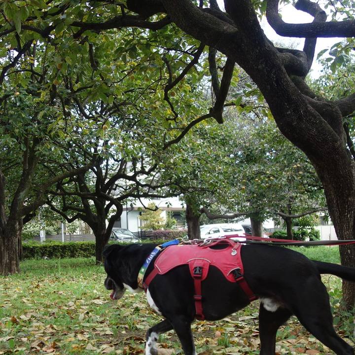 F64cdcc1 0611 4c84 a42a 30443df4d810 1696207619744