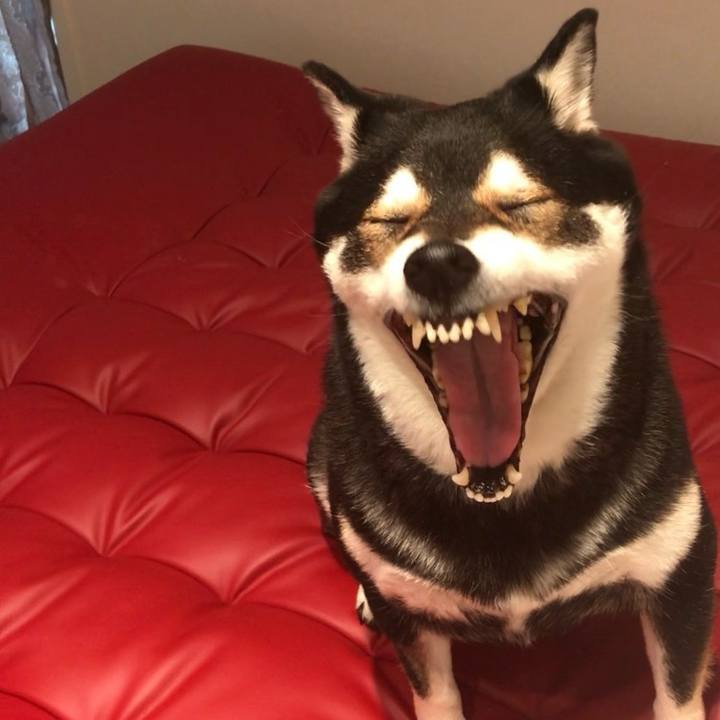 F64cf6f8 f683 4b83 9b46 fc68c573cda6 1718359474614