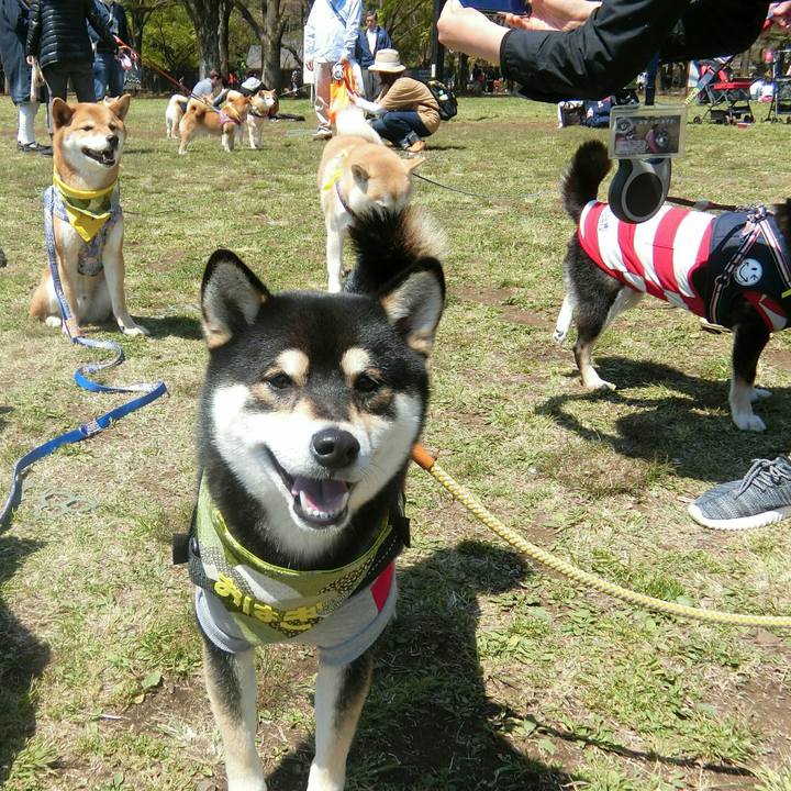 F64cfade 829b 4d46 ae0a d0549299b294 1555167931383