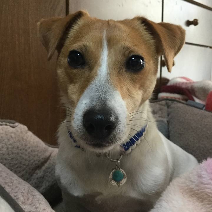 F64d111d 9b9c 49b5 b6b4 91a5c1008c0a 1552807210091