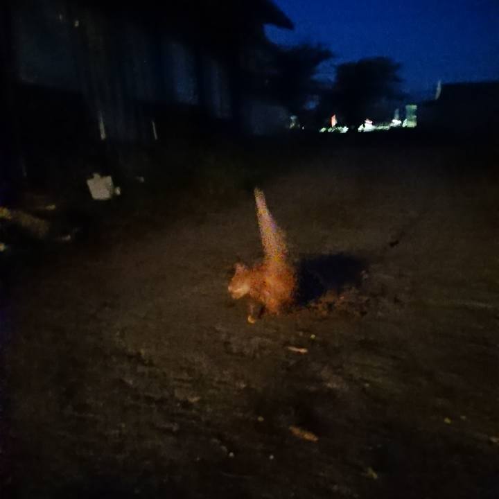 F64d28fc 75af 4434 8b10 83411647a46f 1598523179622