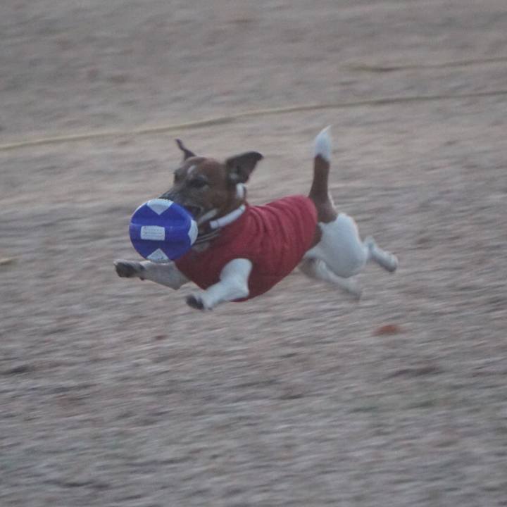 F64d4b56 6078 4559 87cb 057127d8f278 1609282494814