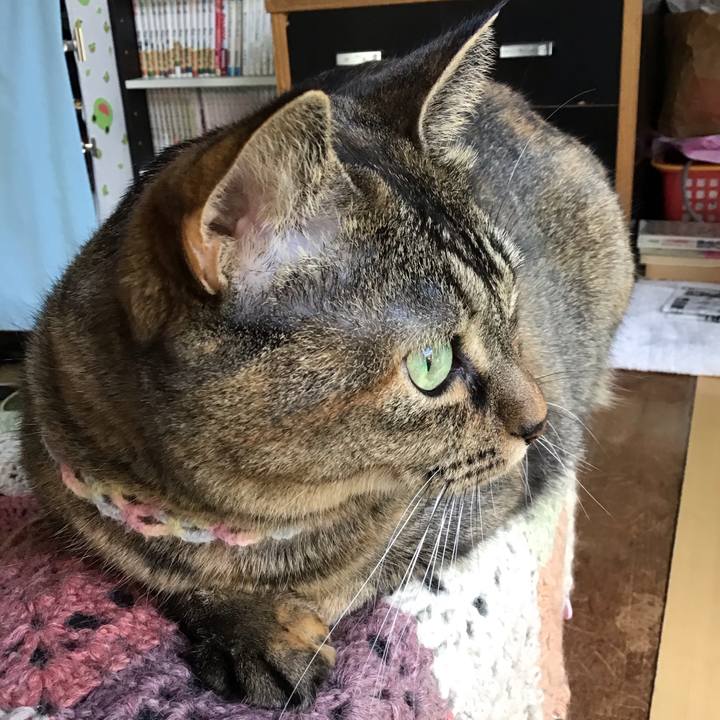 F64d4e46 3595 45be 856c ebd4e66cc0d2 1699183383903