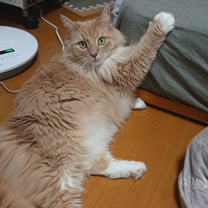 F64d5bf8 e570 4f40 9e5b 28e38429bf8f 1589337902054