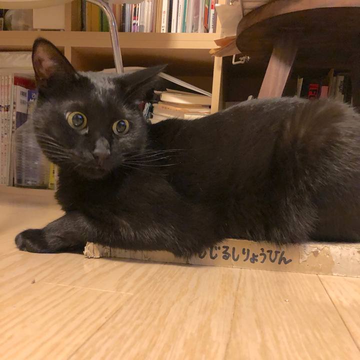 F64da89d 574f 4e86 a92b 2ba6cc496e43 1519997122330