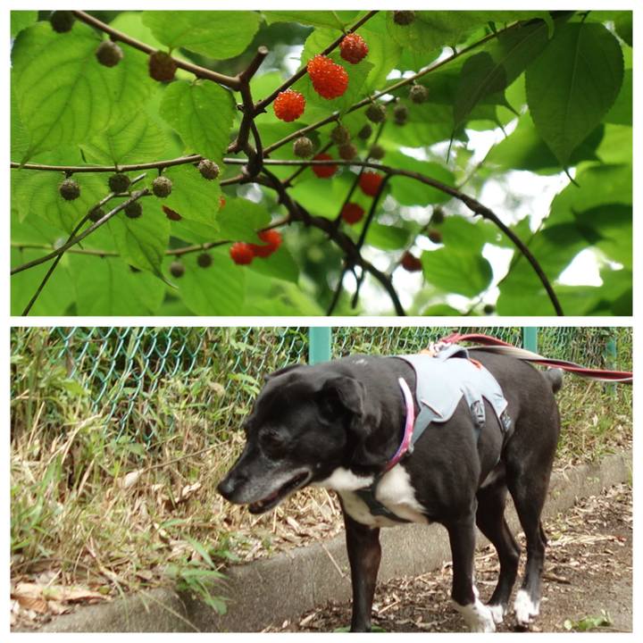 F64dbddf c174 44e4 bdb0 a12eb6327a95 1749772725742