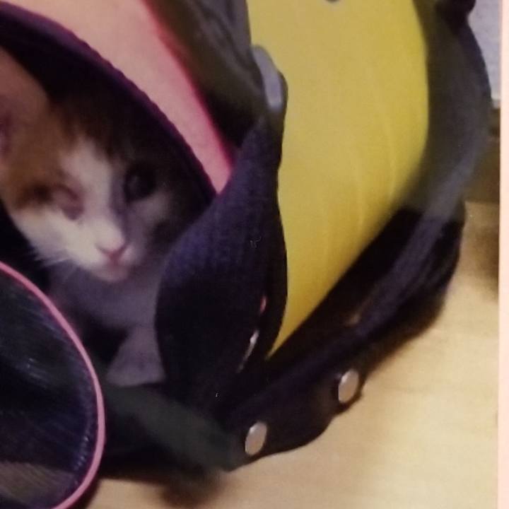 F64dc759 0c5e 4c0c 94f9 c3487f777b6f 1540475912458