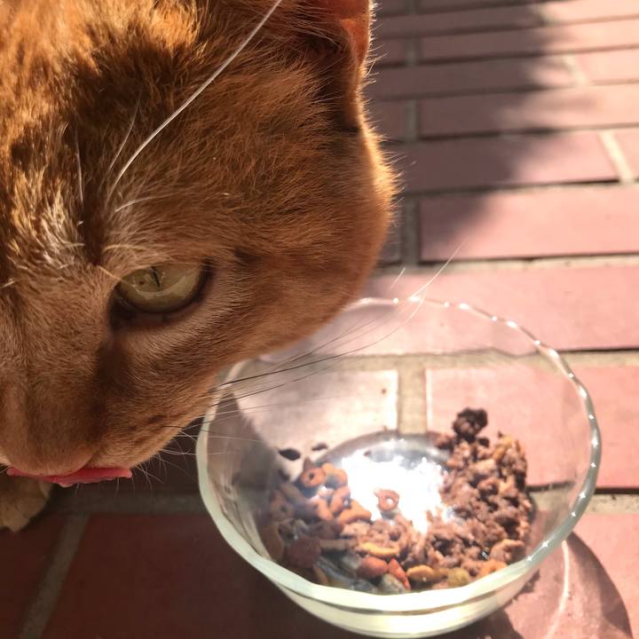 F64de489 26f5 4c92 9e2d fd2b8341614b 1615946403389