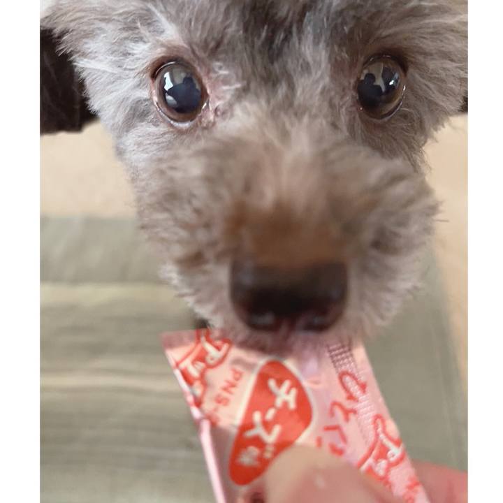 F64deb7c 6fe5 4a68 9dcd eeac9f75d53c 1661672438511