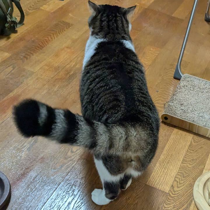 F64dfb47 33a4 460f a7a1 c68c6c520791 1733918624052