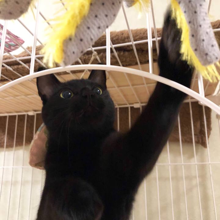 F64e6834 a25f 4e4b b065 a68a23e47360 1541599943387