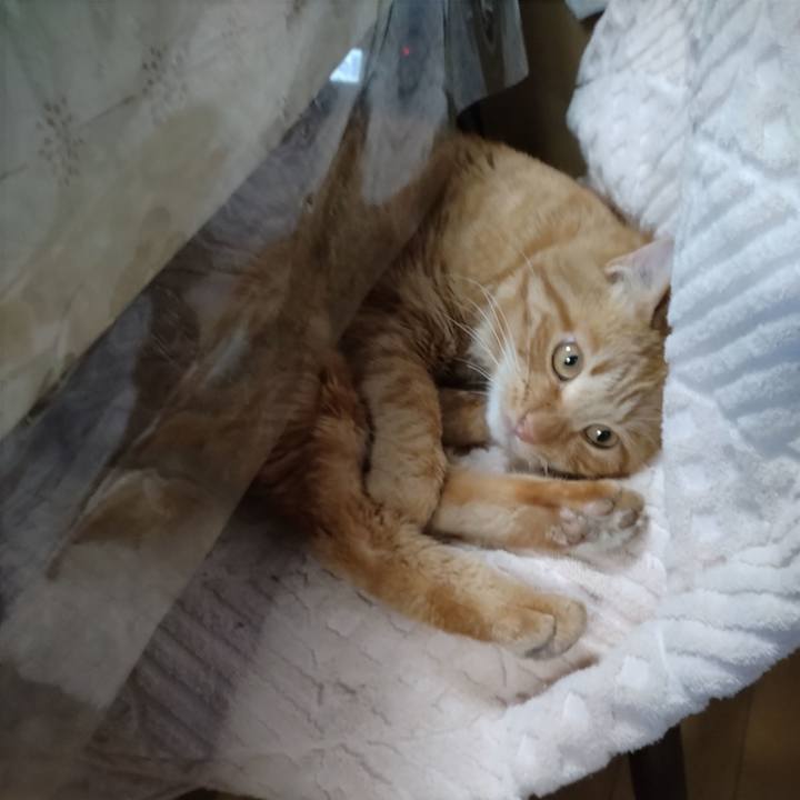 F64ea287 8aba 44d5 b644 d27af549c968 1669535423367