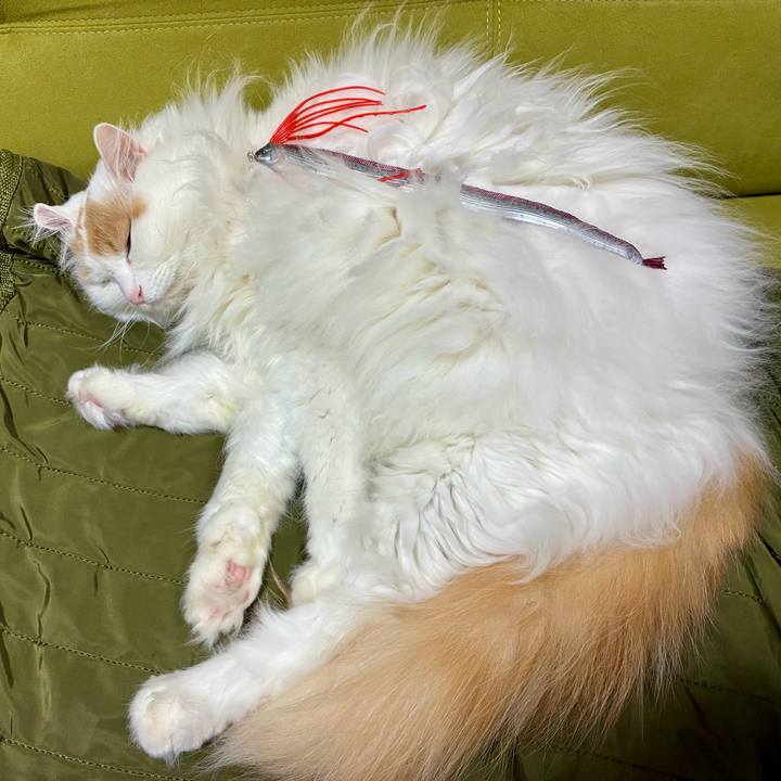 F64eef93 c36f 400b bac7 96c98f7a04b2 1766290038638