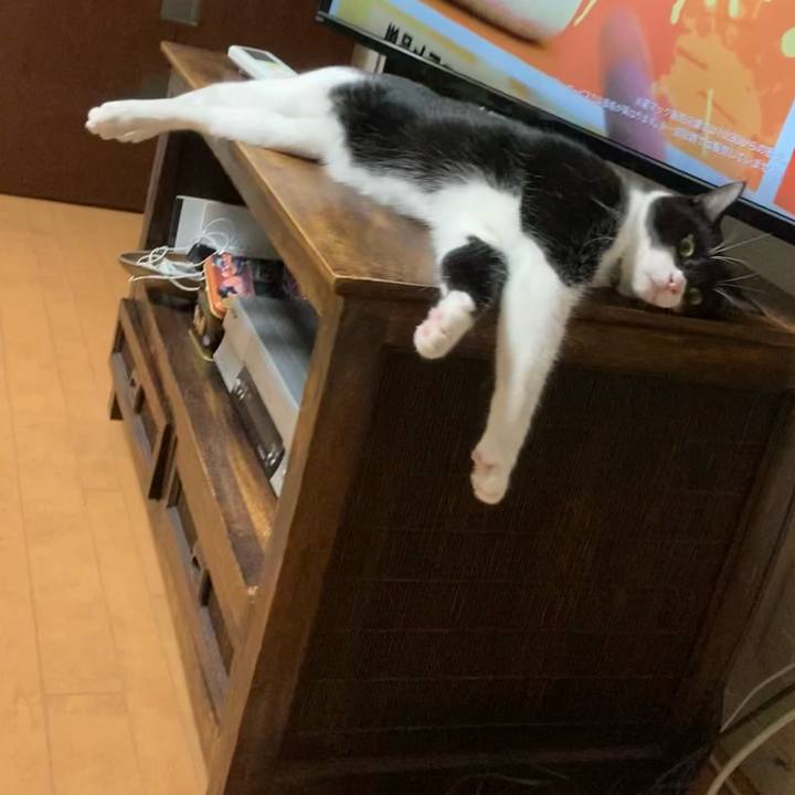 F64f0da7 4fb2 46ee b1eb 6927583ad3b5 1626349728166