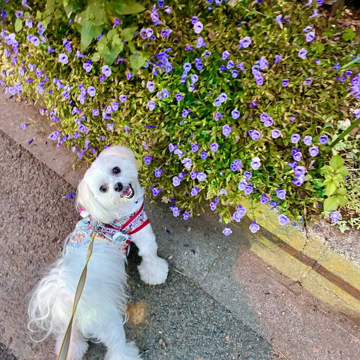 F64f147e 5ef7 490b aba0 691de444393b 1636690066478