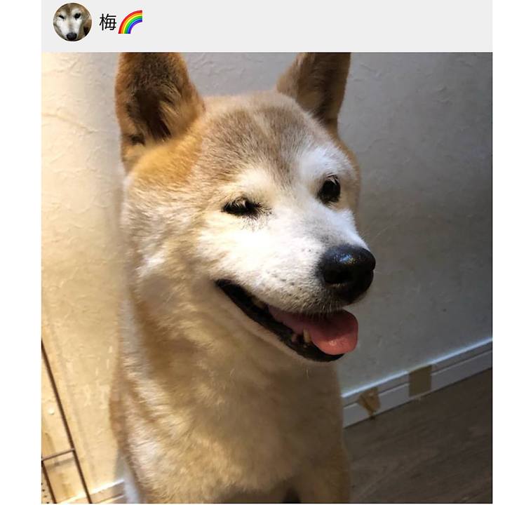 F64f1bf1 6420 4314 b2b6 6bf446fd45f0 1666441953434