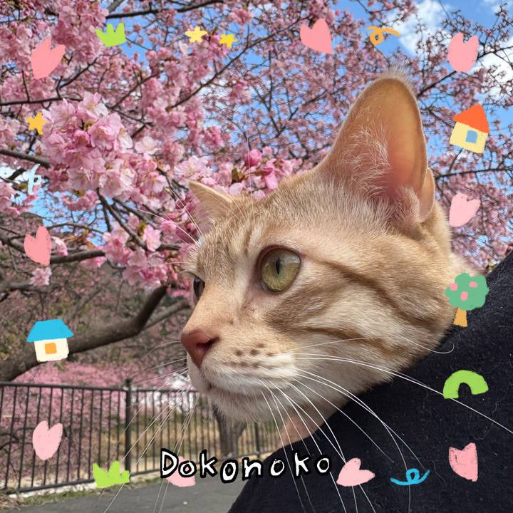 F64f1c58 b1b0 4321 bb9d b1d422867386 1741609437585