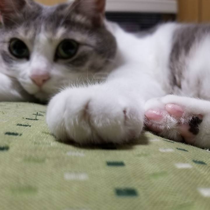 F64f23fe 390c 42f3 992e 5a709c3ec514 1521556707367