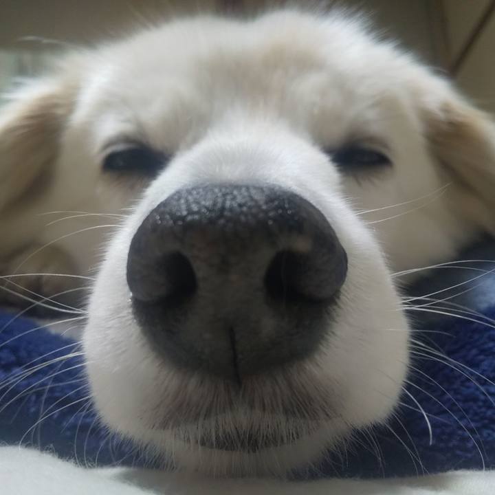 F64f2c00 447d 4377 8f06 0610f6141940 1640002727690