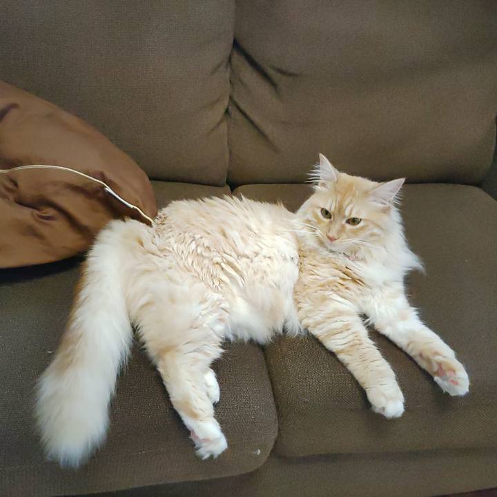 F64f3128 3021 4e05 b9ff 1581d5440f04 1655107431348