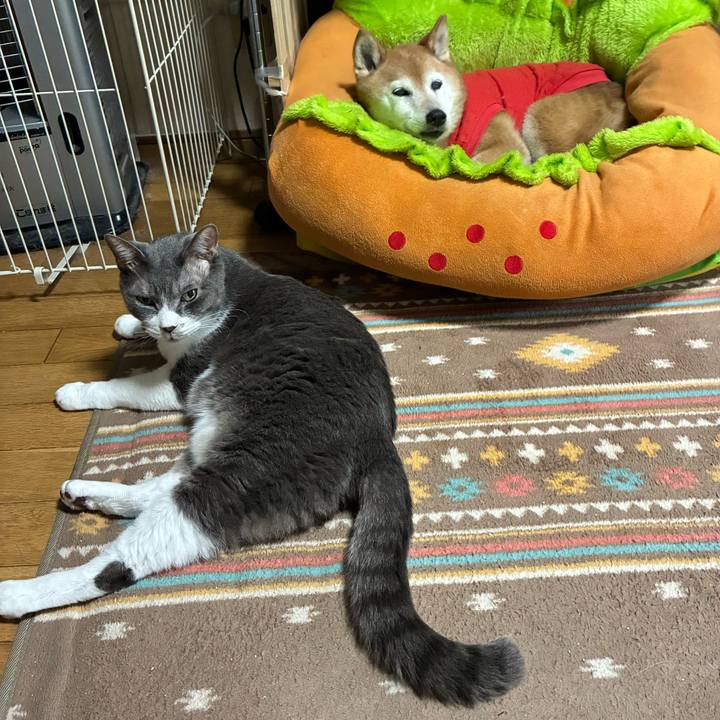 F64fc5ed 97db 43c3 80d5 7bc54f5349a0 1775283219730