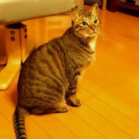 F64fda8f 2376 4a4a 849d b22014fd6ca5 1542026971610