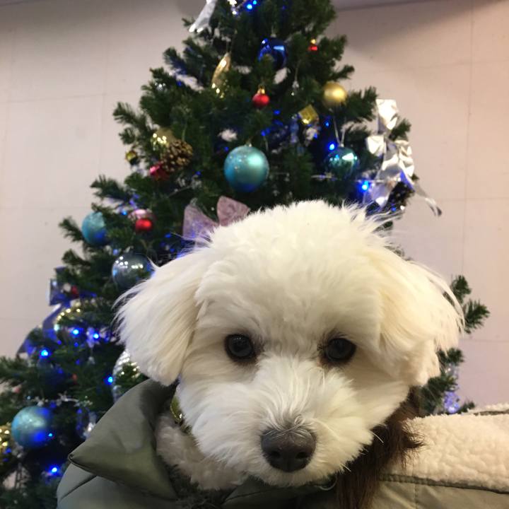 F64ff322 c3d7 46b5 8258 eec578d33542 1514000642319