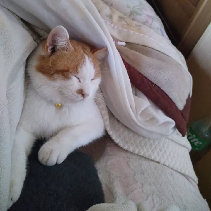 F6501a8b 96d7 4d88 b373 a5393a43fefd 1768716804487