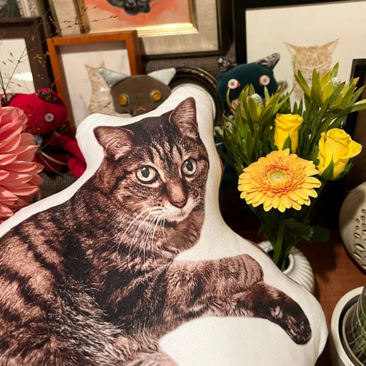 F6502f4b 67aa 4544 946d 953d05c52647 1761308892872