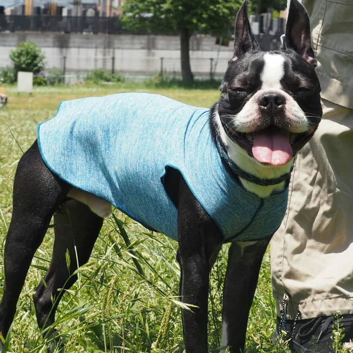 F65034d2 5de8 4102 bc5a 271bb6c12351 1525605418288