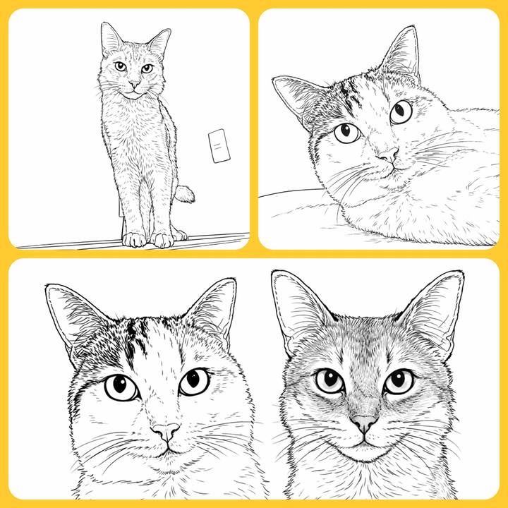 F6508a01 cee5 45f0 ac2a 7b5f230f76b5 1772846545081