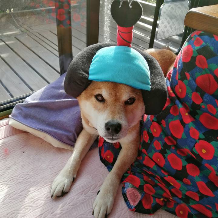 F6509766 e4e0 4622 b49b 9b310ab4a1e8 1675088383625