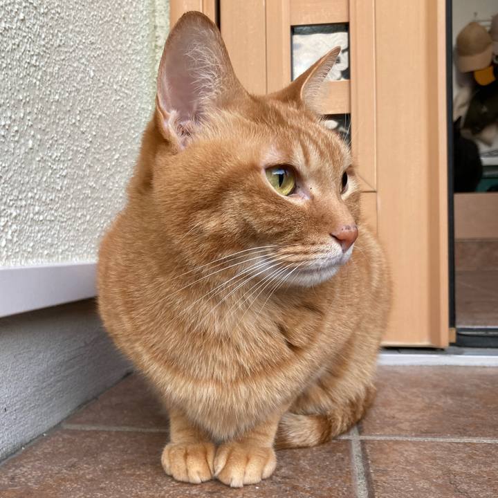 F6509eb3 8b26 4683 9f59 7e837dff65a3 1768623216330