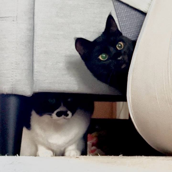 F650a8b1 5cca 4349 a690 6245c31e7b52 1743856579923