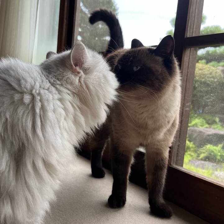 F650ae71 627e 4e3c 9a6f 6c1de63e2ddb 1660734644671