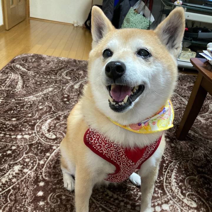 F650d946 f631 45a7 a95c 670e727d8007 1613215130117