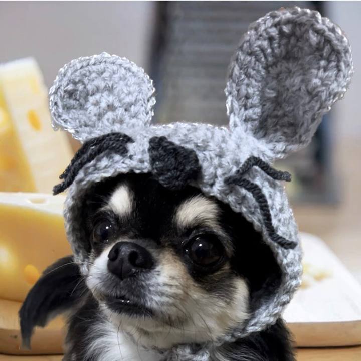 F6511f8c be50 4d5c a19d 475e489e619b 1670543977026