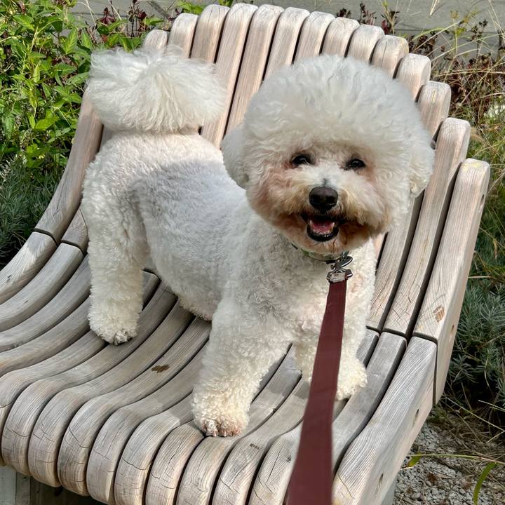 F6512aa9 c61d 4d1c 8409 b2199bbcf201 1761803379655