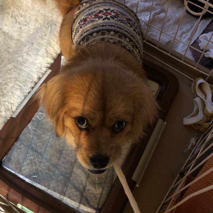 F6513b35 b17e 4952 b5c9 9093eced451d 1518235280740