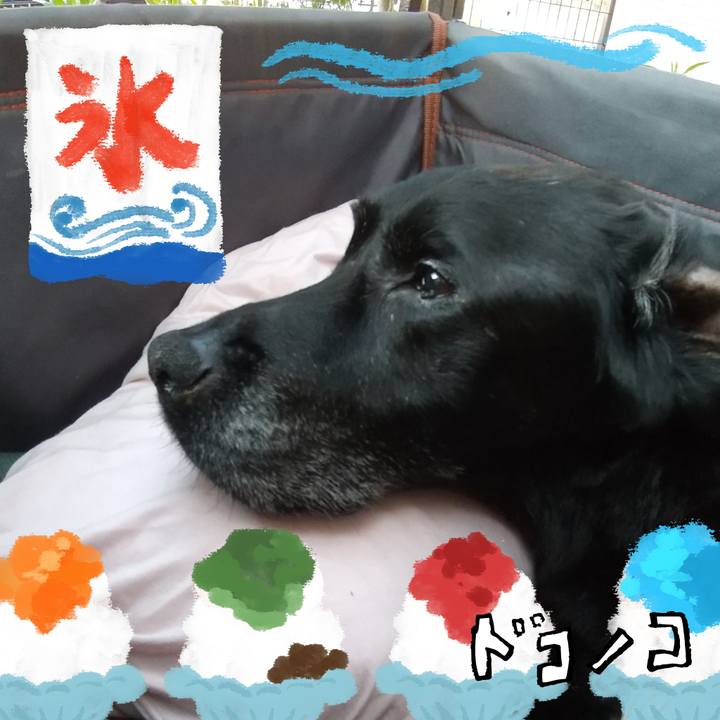 F6527966 5b11 4730 9a65 80187a140120 1723330013762