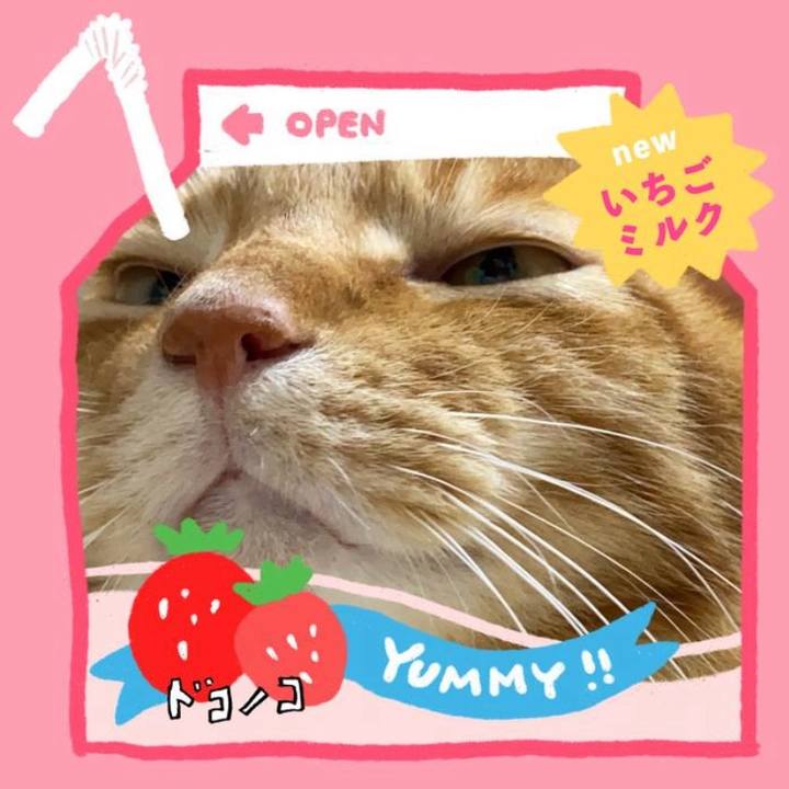 F652a042 abf7 4565 b94f 2fcc83c5341a 1711563038817