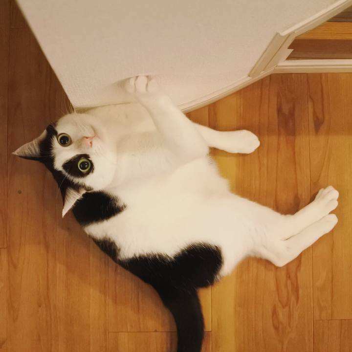 F653239a d472 4bb7 8758 cb0c803270b0 1582980586514