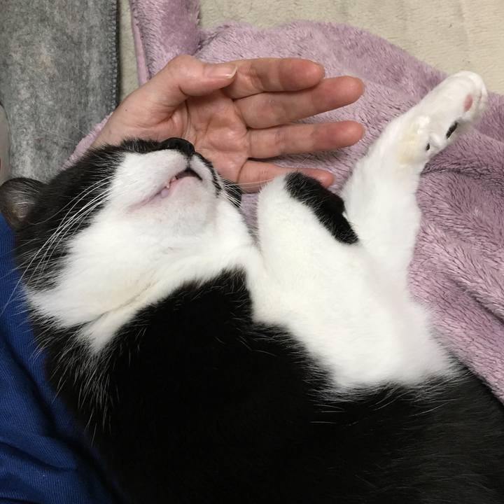 F65355b3 9ff4 472b 9dd6 c58695790168 1549120751295